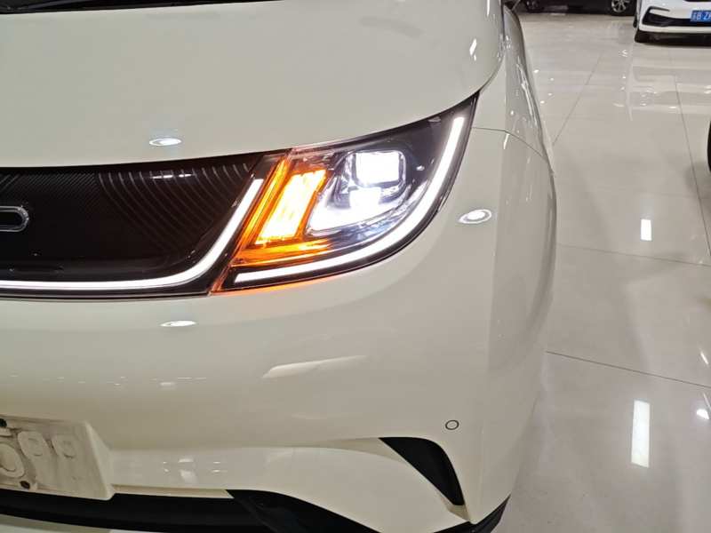Used BYD Dolphin 2023 420 km Fashion Edition — 23
