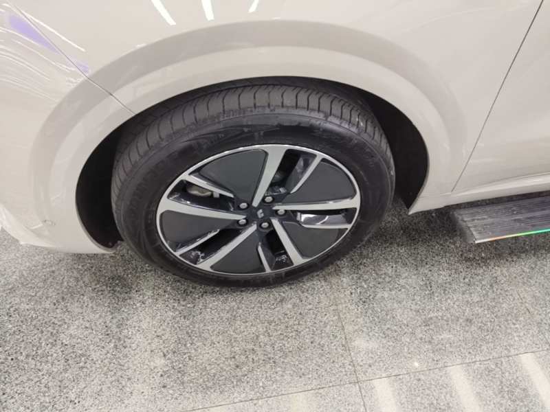 Used Li Auto L6 2024 Max — 22