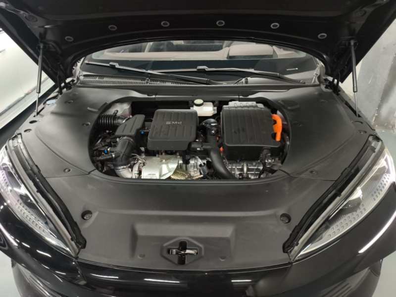 Used BYD Seal 2023 DM-i 1.5T 121km Flagship Model — 19