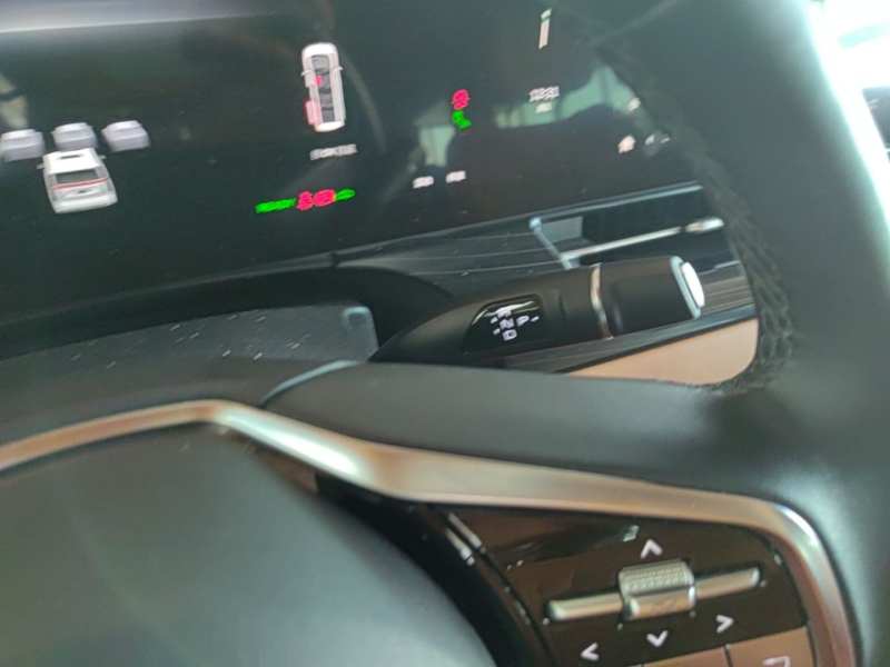 Used Wey Gaoshan 2023 Four-Wheel-Drive Executive Extended Version — 13