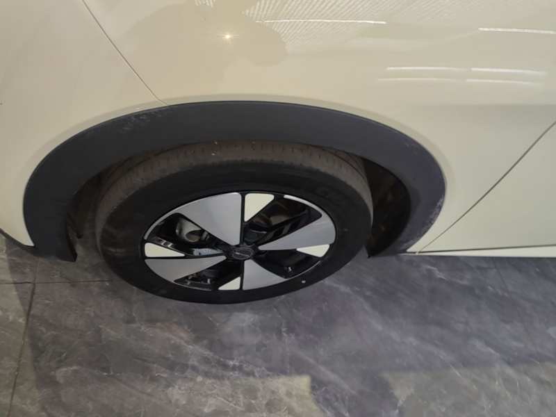 Used BYD Dolphin 2023 420 km Free Version — 22