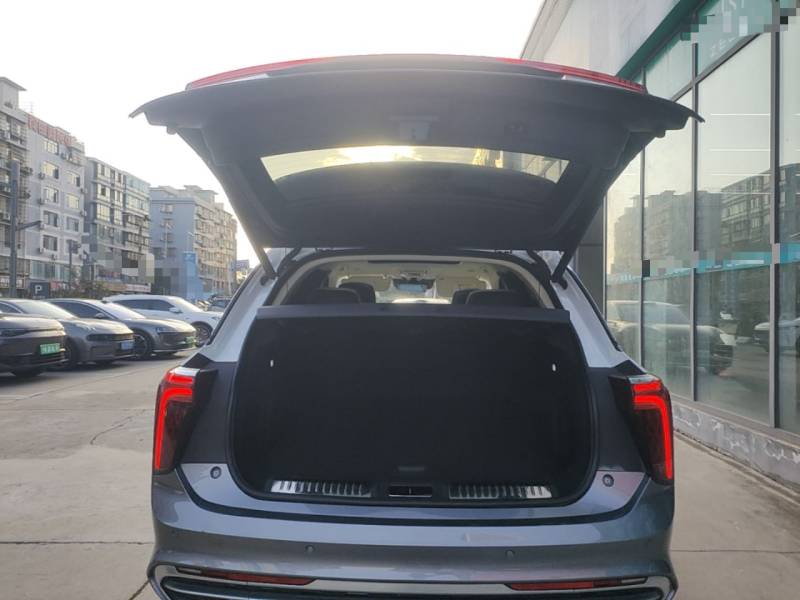 Used Hongqi E-HS9 2021 510 km Flagship Edition Four Seats — 18