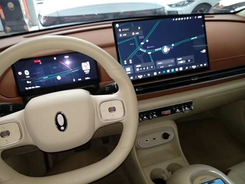 Used ORA Good Cat 2025 Model, 430 km Prestige Version — 13