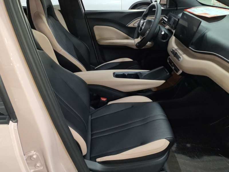 Used BYD Seagull 2025 Intelligent Driving Version 305 km Dynamic Edition — 24