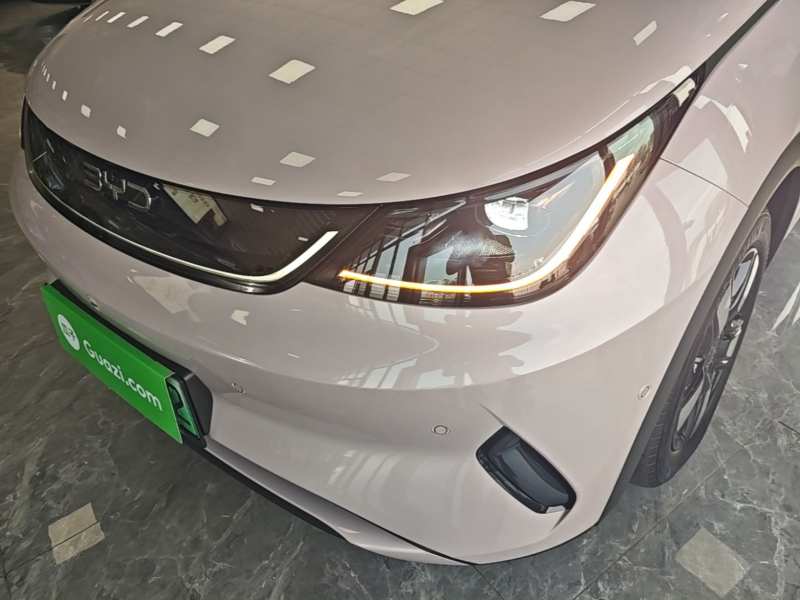 Used BYD Dolphin 2025 Intelligent Driving Version 410 km Fashion Edition — 23