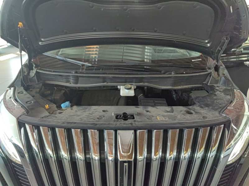 Used Wey Gaoshan 2023 Four-Wheel-Drive Executive Extended Version — 19