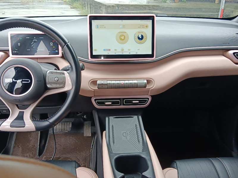 Used BYD Seagull 2024 Honor Edition 305km Freedom Version — 12
