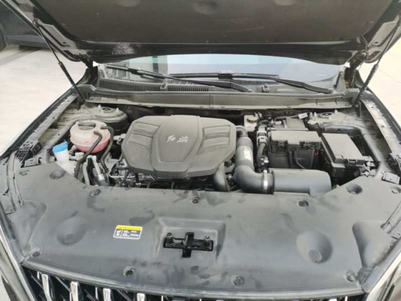 Used Hongqi HS5 2025 2.0T All-Wheel-Drive Flagship Pro Edition — 19
