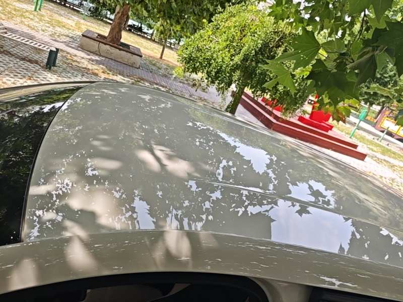 Used BYD Seagull 2023 Free Edition — 26