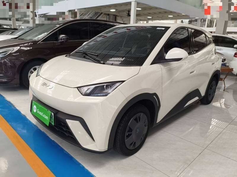 Used BYD Seagull 2025 305km Active Version — 1