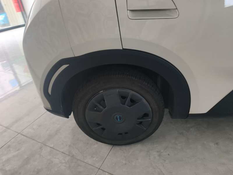 Used BYD Seagull 2023 Active Version — 25