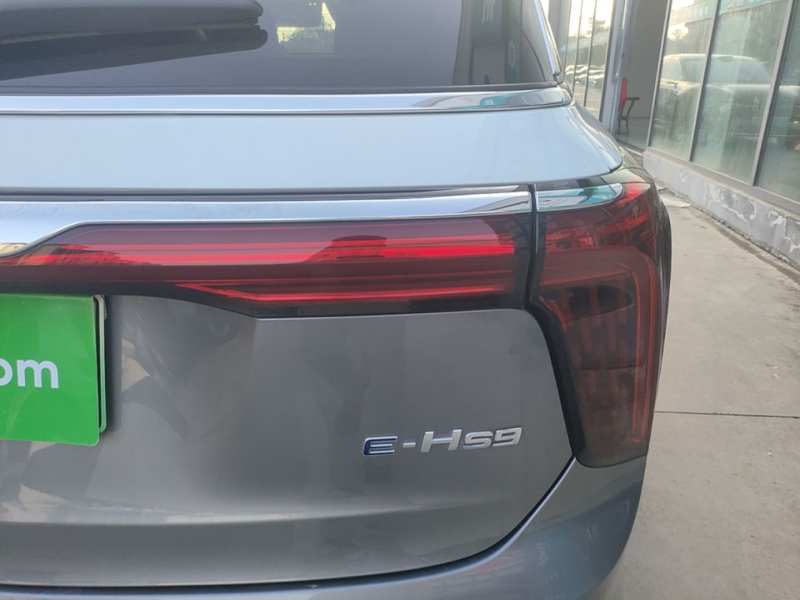 Used Hongqi E-HS9 2021 510 km Flagship Edition Four Seats — 7