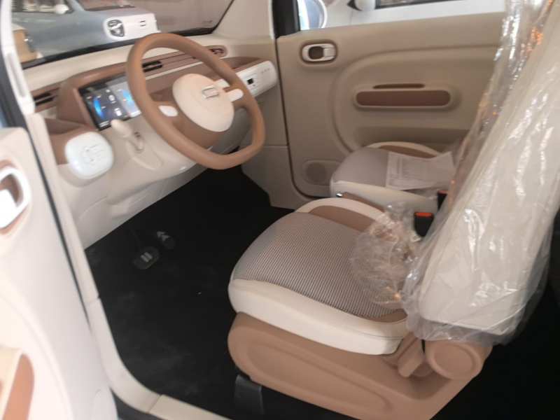 Used Bestune Pony 2026 222km Colorful Horse — 14