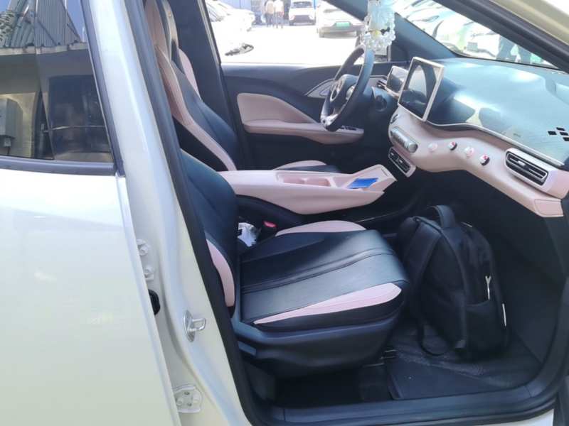 Used BYD Seagull 2024 Honor Edition 305km Freedom Version — 24