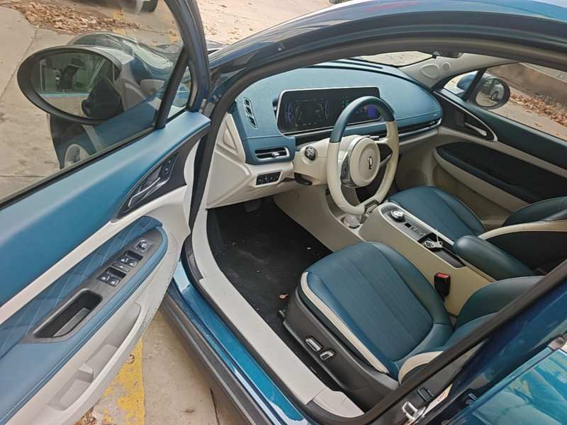 Used ORA Good Cat 2022 Morandi Edition 400km Standard Range Luxury Version Lithium Iron Phosphate — 15