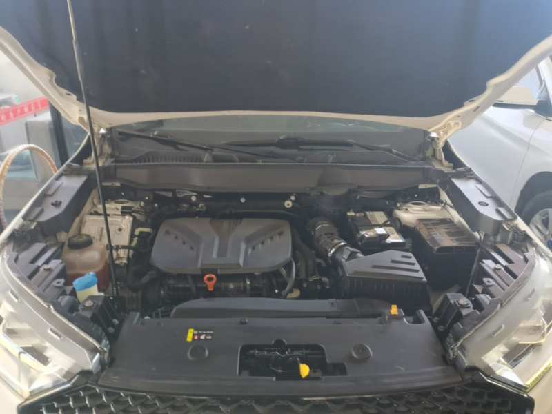 Used Haval H6 2021 3rd Generation 2.0T Automatic All-Wheel Drive Max — 19