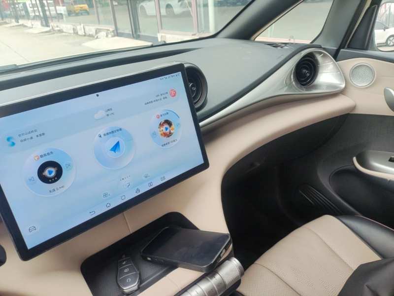 Used BYD Dolphin 2024 Honor Edition 302km Dynamic Version — 12