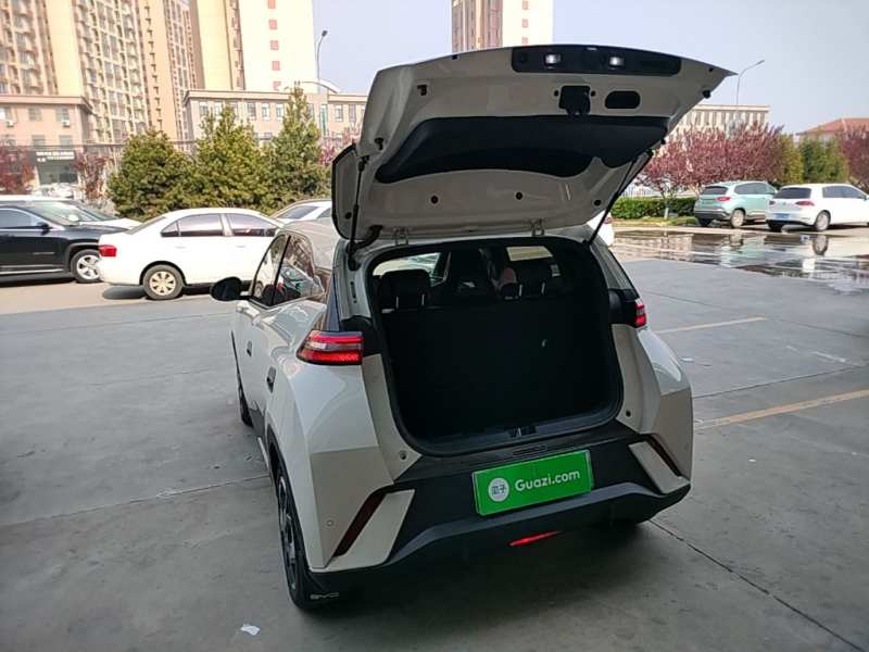 Used BYD Seagull 2025 305 km Free Version — 18