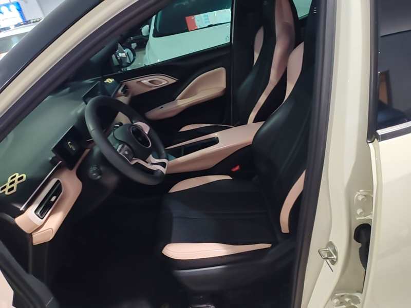 Used BYD Seagull 2024 Honor Edition 305km Dynamic Version — 14
