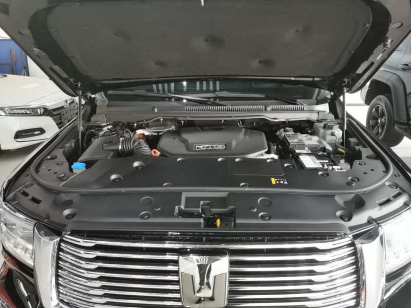 Used Tank 500 New Energy 2024 Hi4-T — 19