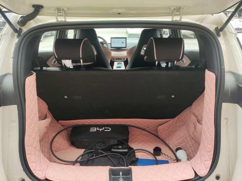 Used BYD Seagull 2025 Intelligent Driving Version 305 km Dynamic Edition — 18