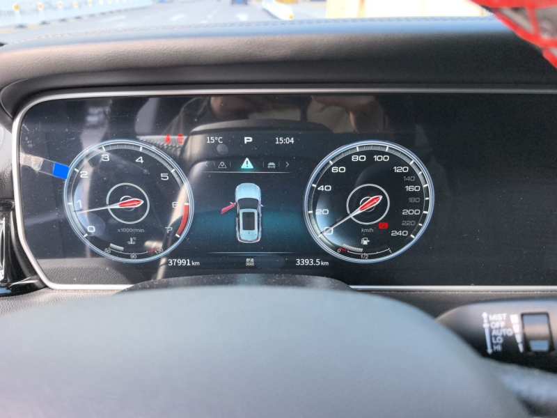 Used Hongqi HS5 2022 2.0T Smart Connect Flagship All-Wheel-Drive Version – Chinese Trim Xiang — 7