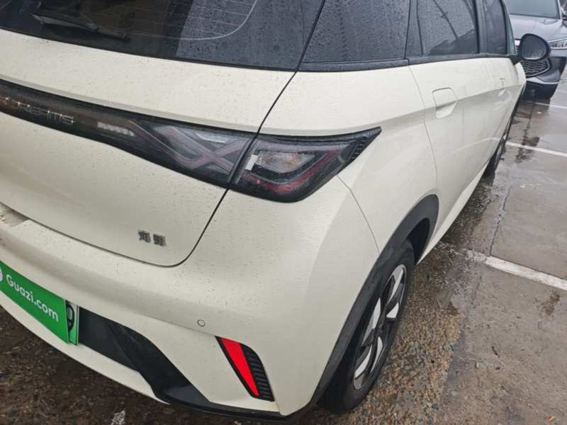 Used BYD Dolphin 2025 420km Free Edition — 7
