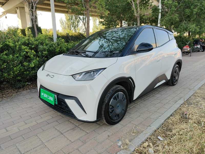Used BYD Seagull 2025 305km Active Version