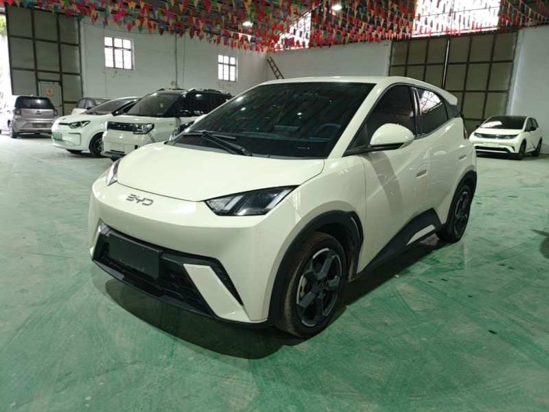 Used BYD Seagull 2023 Free Edition — 1