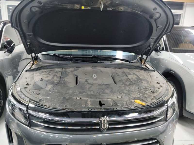 Used AITO/LUXEED/MAEXTRO/SAIC/STELATO AITO M7 2022 1.5T Rear-Drive Comfort Edition — 19