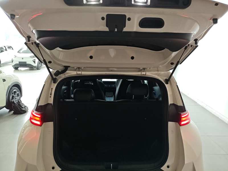 Used BYD Seagull 2025 Smart Drive Version 305 km Freedom Edition — 18