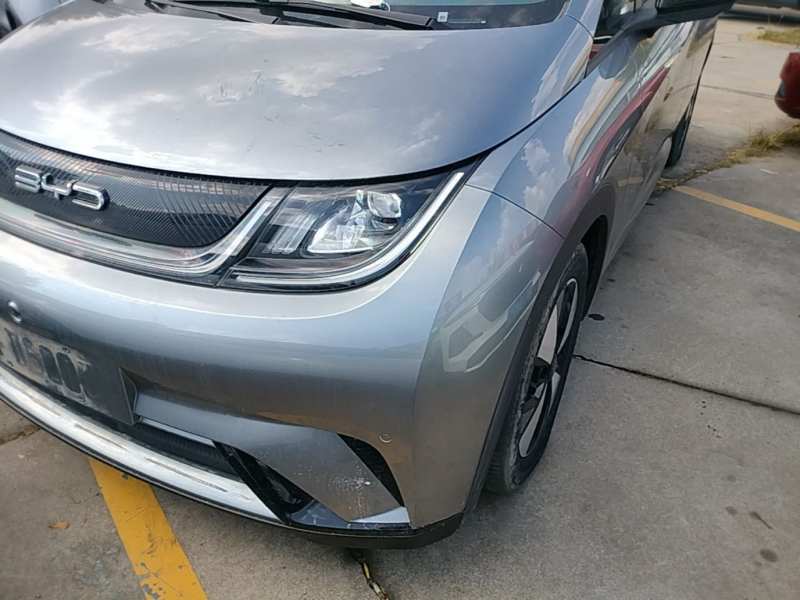Used BYD Dolphin 2023 420 km Fashion Edition — 23