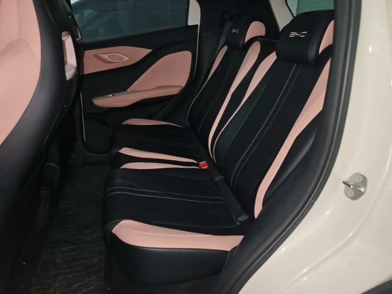 Used BYD Seagull 2024 Honor Edition 305km Dynamic Version — 16