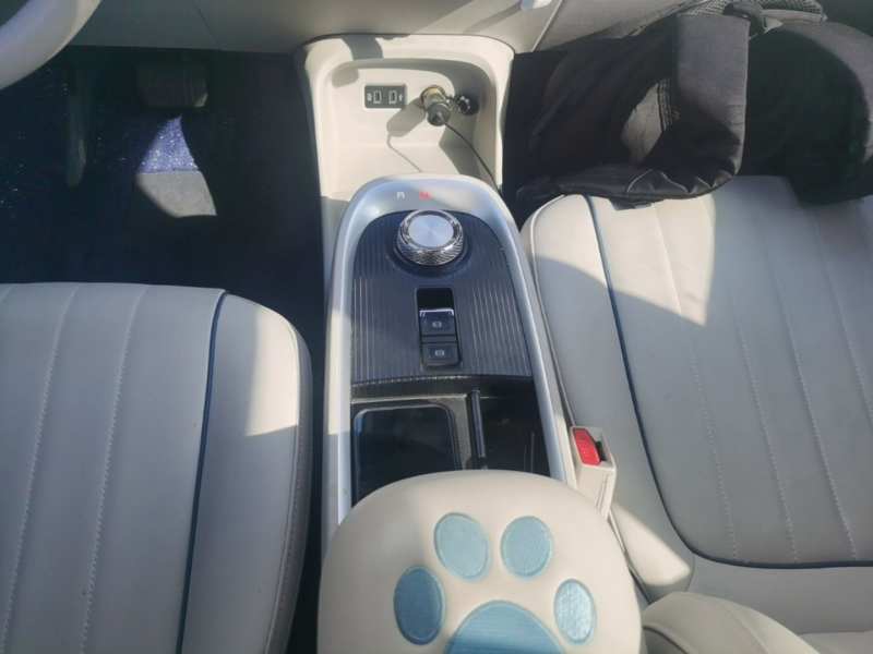Used ORA Good Cat 2022 400km Standard Range Luxury Version Lithium Iron Phosphate — 13