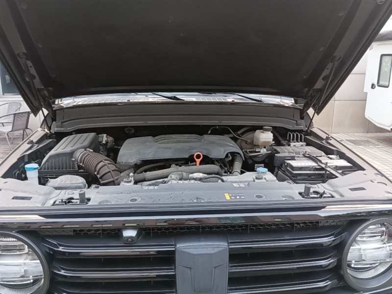 Used Tank 300 2021 Off-Road Edition 2.0T Conqueror — 19