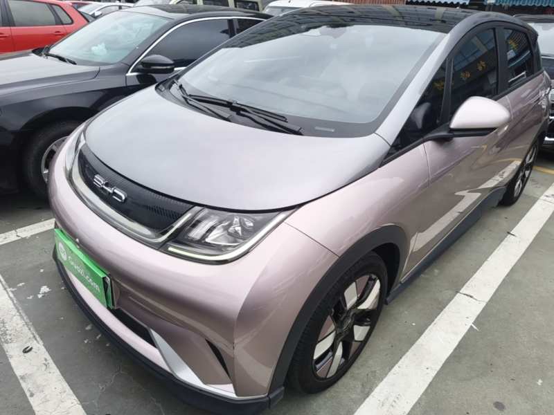 Used BYD Dolphin 2021 401km Knight Edition — 1