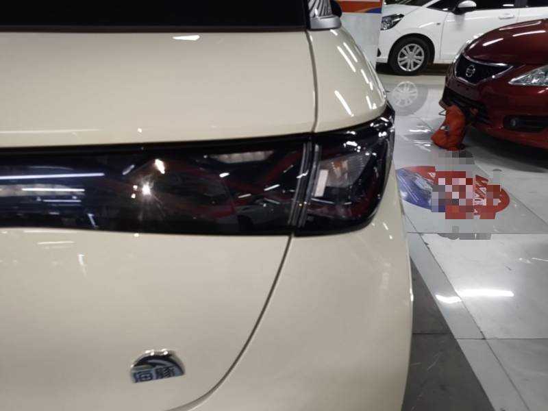 Used BYD Dolphin 2023 420 km Free Version — 7