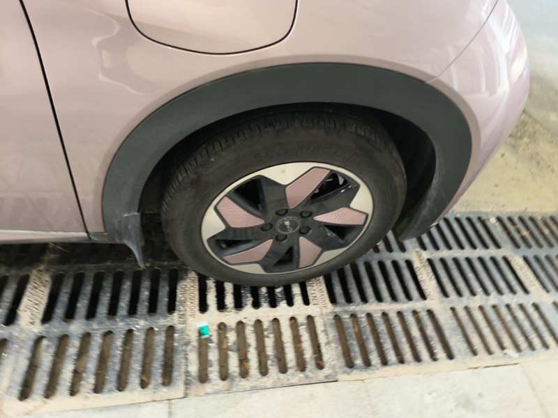 Used BYD Dolphin 2025 420km Free Edition — 25