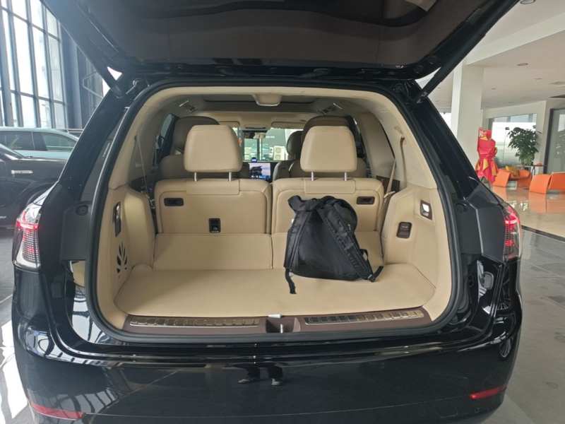 Used AITO/LUXEED/MAEXTRO/SAIC/STELATO AITO M9 2024 Range-Extended Ultra Version 42 kWh 6-Seater Model — 18