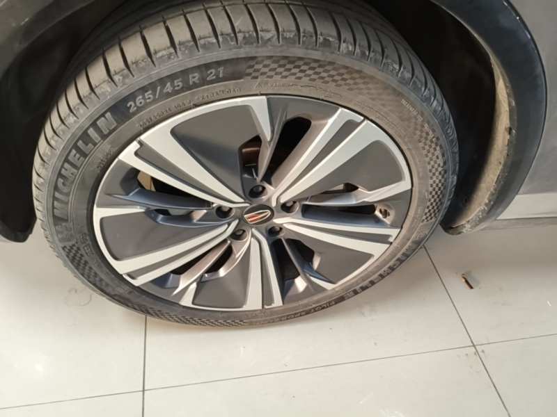 Used Hongqi E-HS9 2021 510 km Range Flagway Edition Six Seats — 22