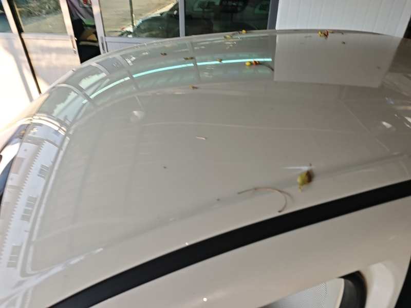 Used Wuling Hongguang MINIEV 2025 Four-Door Version Advanced Edition — 26