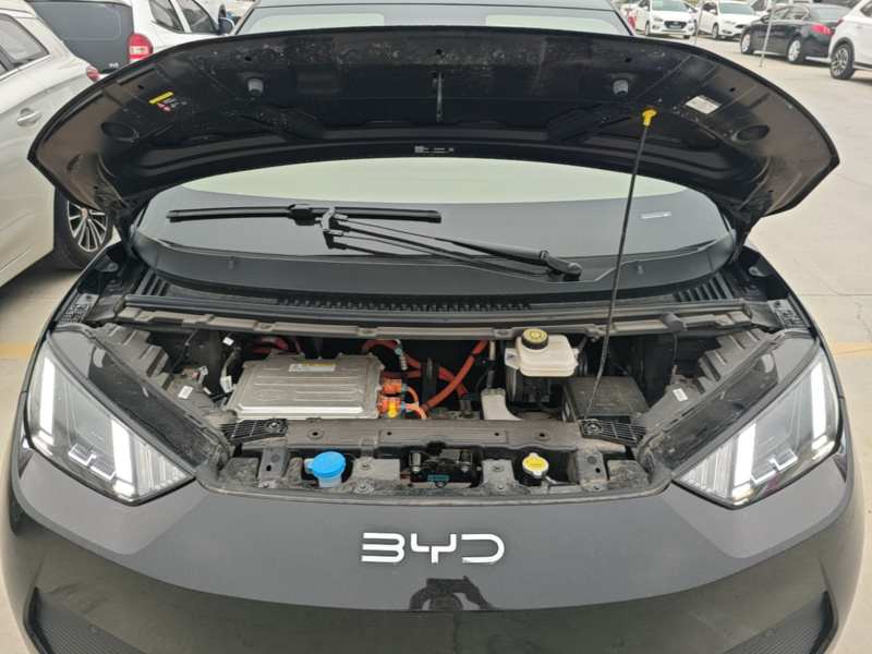 Used BYD Seagull 2025 Smart Drive Version 305 km Freedom Edition — 19