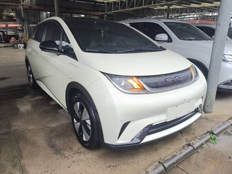 Used BYD Dolphin 2023 420 km Fashion Edition — 3