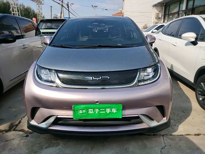 Used BYD Dolphin 2021 401km Knight Edition — 2
