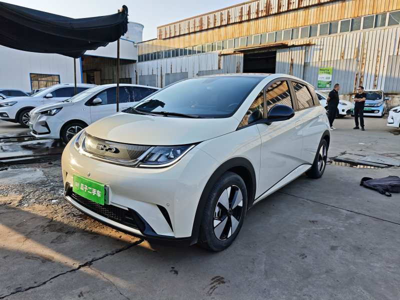 Used BYD Dolphin 2023 420 km Fashion Edition