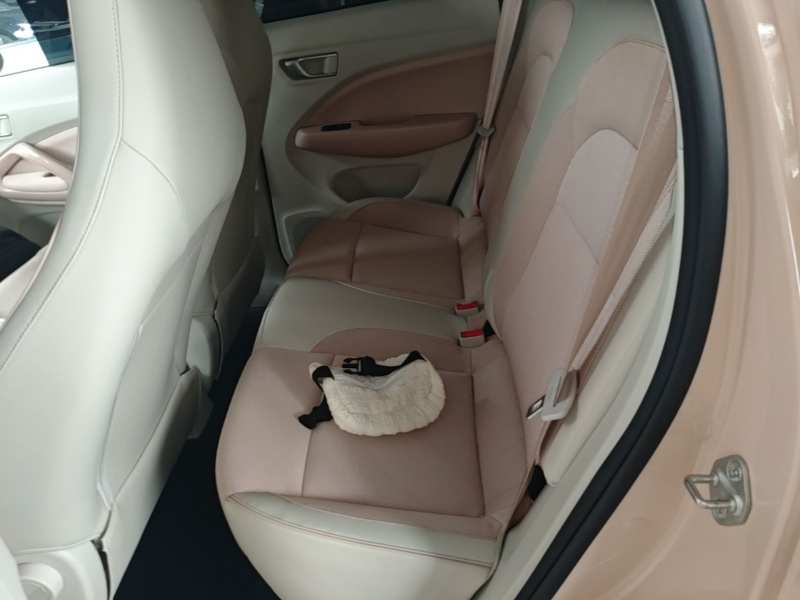 Used Leapmotor T03 2023 310 Lite Edition — 16