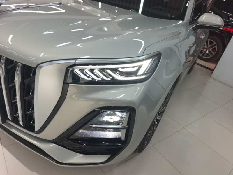 Used Hongqi HS5 2023 2.0T Four-Wheel Drive Flagship Pro Edition – Chinese Trim Ling — 23