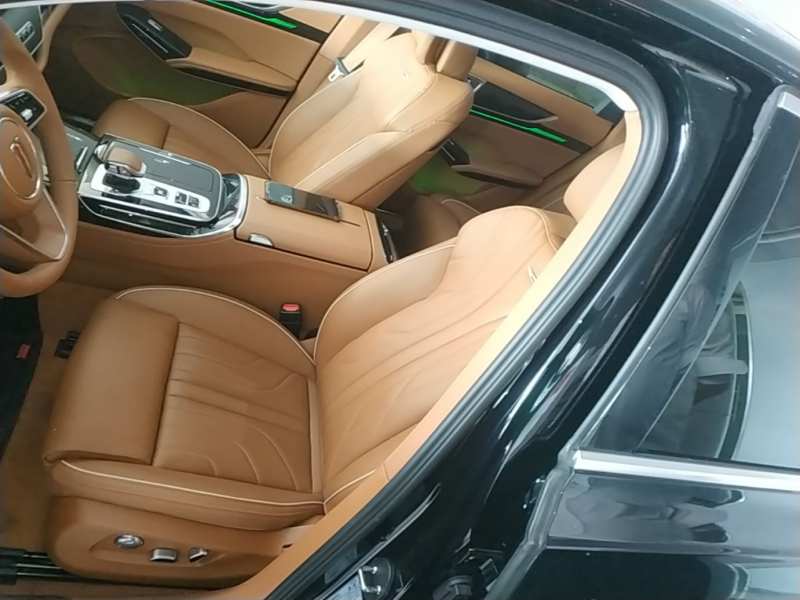 Used Hongqi H9 2025 2.0T Two-Wheel-Drive Flagship Luxury Business Edition 5 Seats — 14