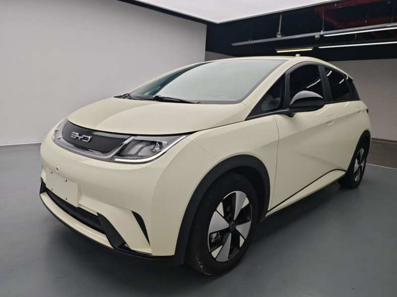 Used BYD Dolphin 2023 420 km Free Version