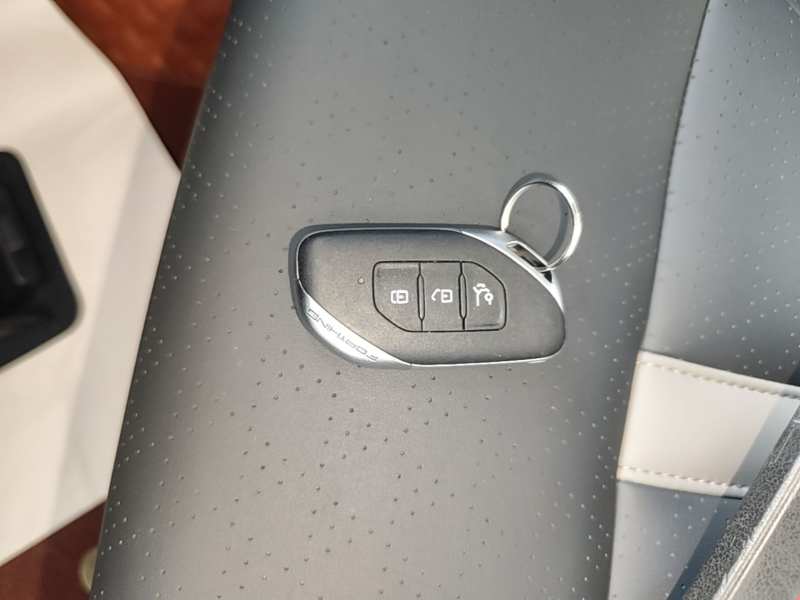 Used FORTHING Yacht 2024 1.5T DCT Guanhai Edition — 8